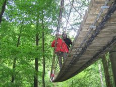 Hängebrücke.jpg